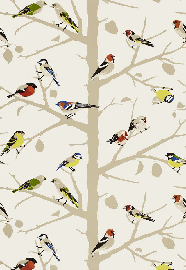 Flock birds tree branch white free wallpaper for mobile - medium preview image