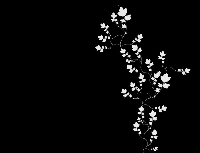 Black white flower vines cherryblossoms free wallpaper for desktop - medium preview image