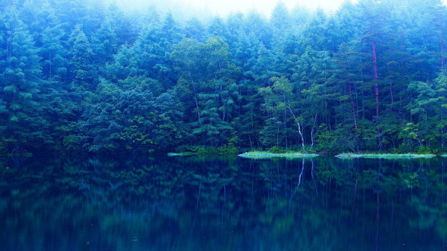 Water trees forest boat people free wallpaper for desktop - medium preview image