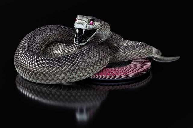 Snake pink stripe black background free wallpaper for desktop - medium preview image