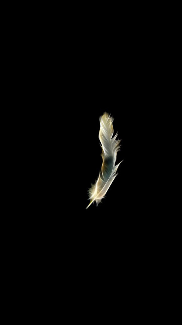White bird flying dark wings free wallpaper for mobile - medium preview image