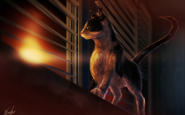 Cat standing ledged window sunset free wallpaper for desktop - medium preview image