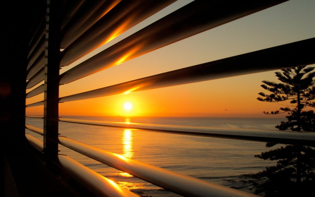 Sunset window blinds tree foreground free wallpaper for desktop - medium preview image