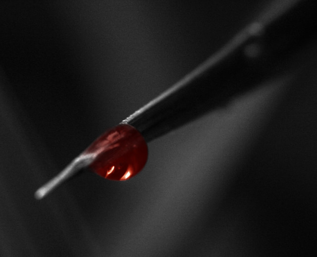 Water drop twig black background free wallpaper for desktop - medium preview image
