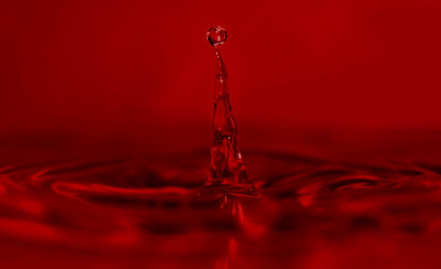 Red liquid droplet macro blood free wallpaper for desktop - medium preview image