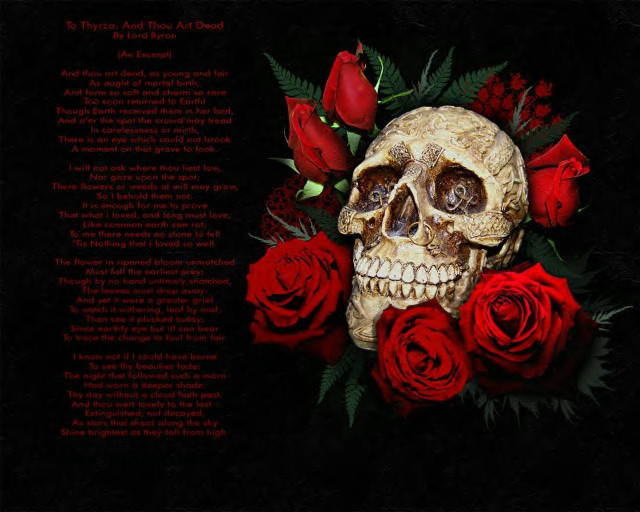 Skull roses black background poem free wallpaper for desktop - medium preview image