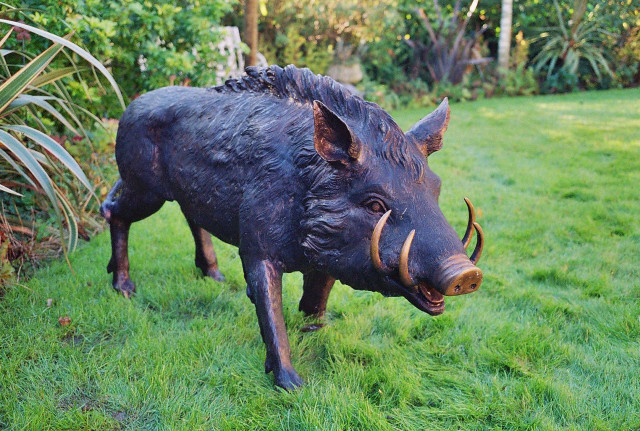 Bronze boar statue garden grass free wallpaper for desktop - medium preview image