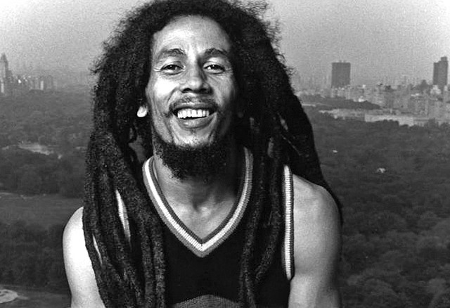 Man dreadlocks beard smiling black free wallpaper for desktop - medium preview image