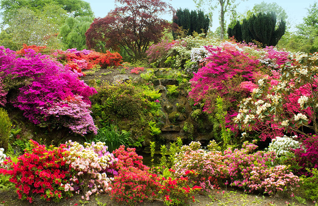 Garden colorful flowers trees bench free wallpaper for desktop - medium preview image