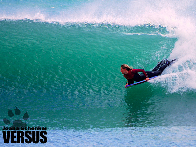 Surfing person dog paw ocean free wallpaper for desktop - medium preview image