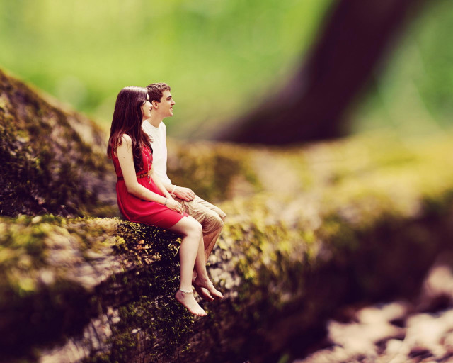 Miniature man woman mossy log free wallpaper for desktop - medium preview image