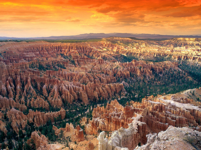 Canyon trees sunset red sky free wallpaper for desktop - medium preview image