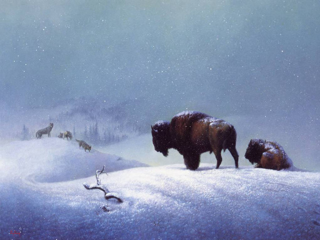 Bison snowy landscape deer distance free wallpaper for desktop - medium preview image