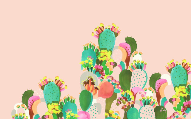 Cactus plants pink background pink free wallpaper for desktop - medium preview image
