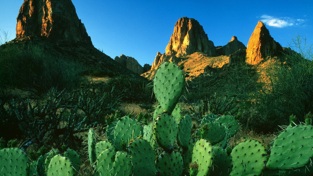 Cactus mountain blue sky clouds free wallpaper for desktop - medium preview image