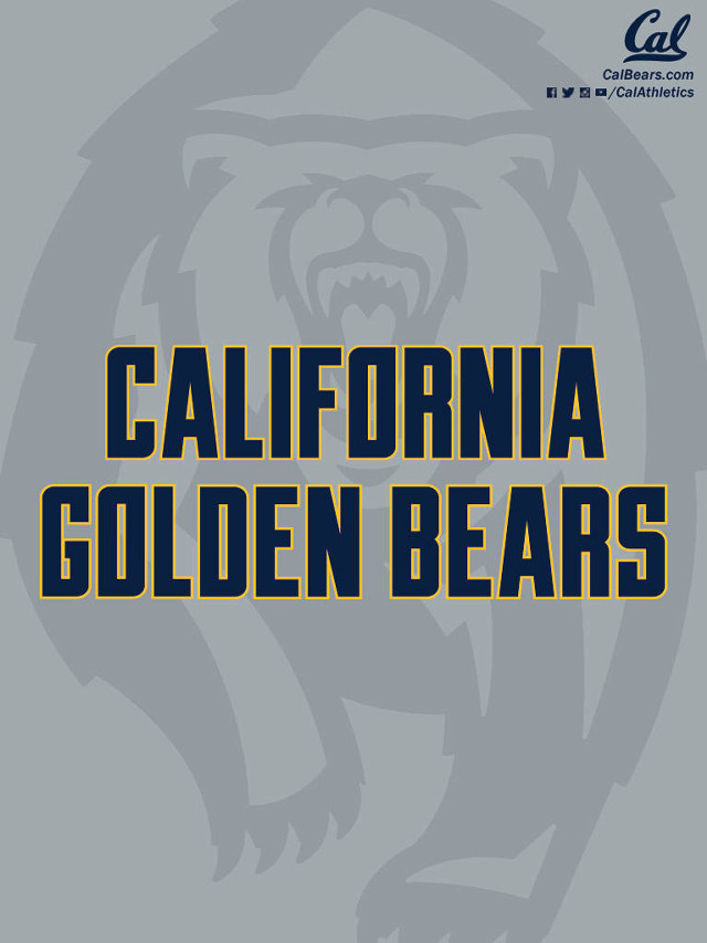 Gray yellow california golden bears free wallpaper for mobile - medium preview image