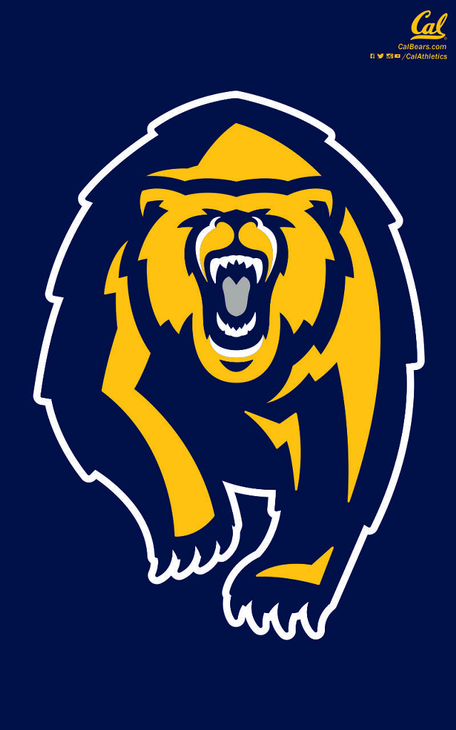 Bear mouth open hat blue free wallpaper for mobile - medium preview image