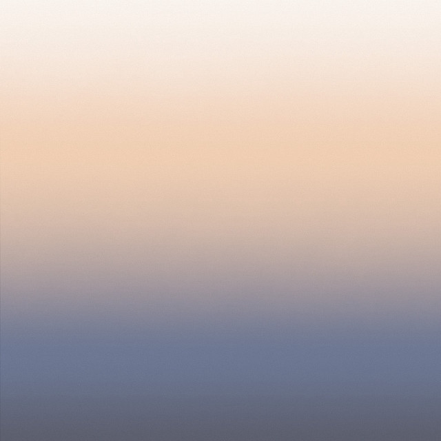 Lone bird beach sunset hazy free wallpaper for tablet - medium preview image