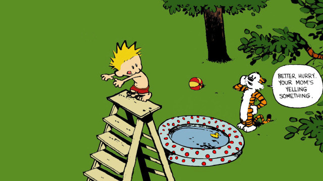 Boy ladder pool cat yard free wallpaper for desktop - medium preview image