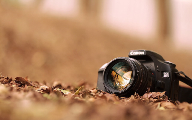 Camera leaves ground lens nature #2 free wallpaper for desktop - medium preview image