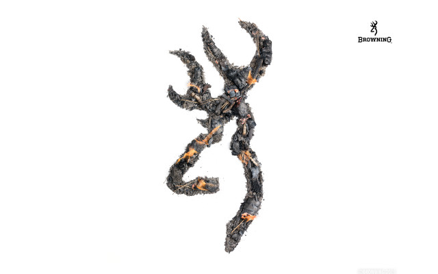 Black orange lizard air tail free wallpaper for desktop - medium preview image