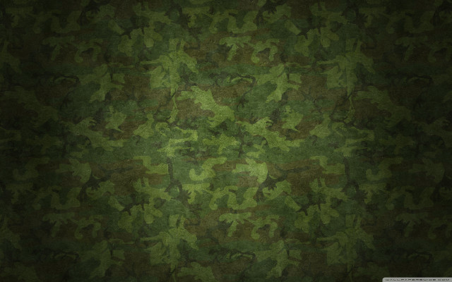 Green camouflage forest david firth free wallpaper for desktop - medium preview image