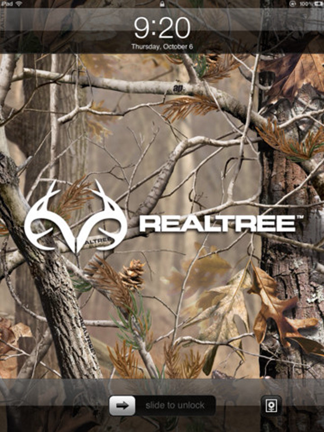 Cell phone realtree screen tree free wallpaper for mobile - medium preview image