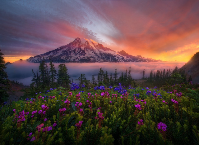 Mountain clouds flowers colorful sky free wallpaper for desktop - medium preview image