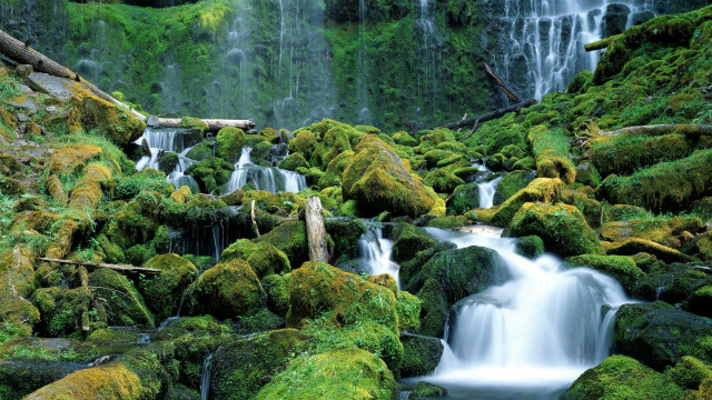 Waterfall moss forest fallen trunk free wallpaper for desktop - medium preview image