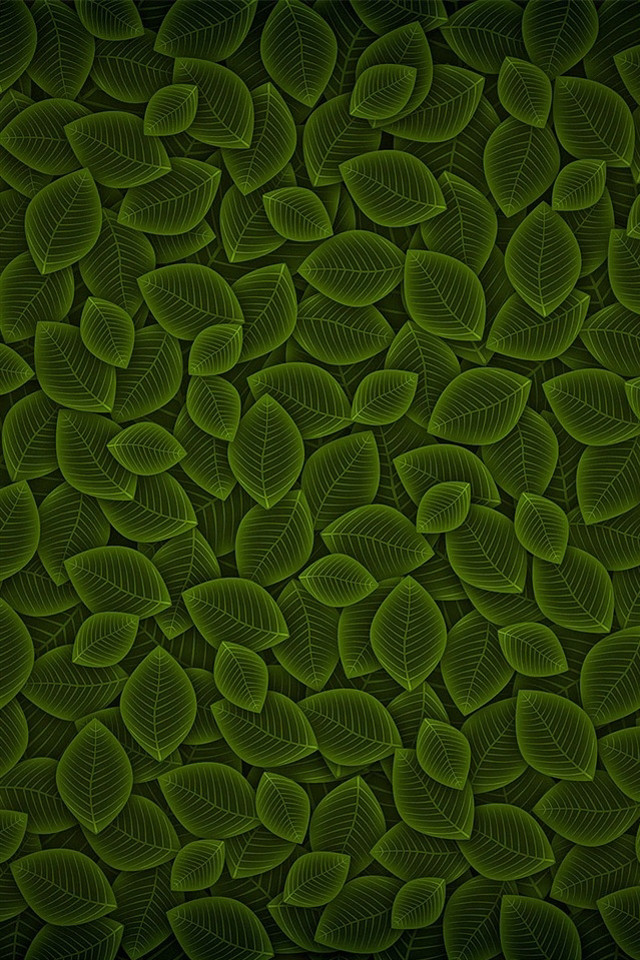 Green background leaves black background free wallpaper for mobile - medium preview image