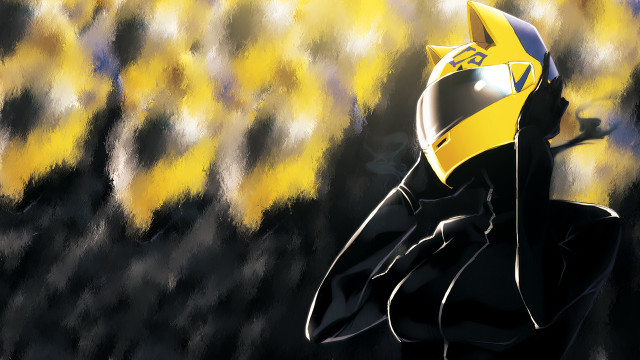 Person yellow black helmet stick free wallpaper for desktop - medium preview image