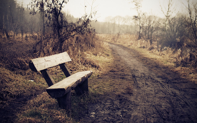 Wooden bench dirt road woods free wallpaper for desktop - medium preview image