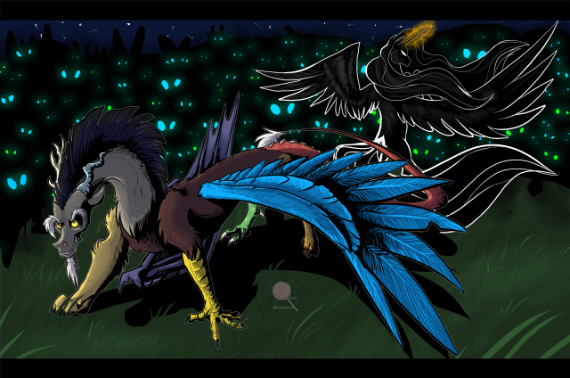 Large tail small bird with free wallpaper for desktop - medium preview image