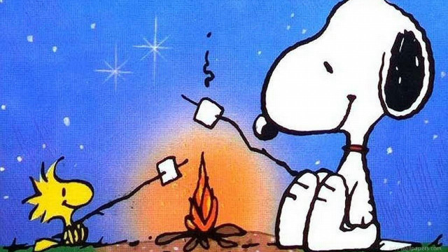 Snoopy dog campfire sitting lap #3 free wallpaper for desktop - medium preview image