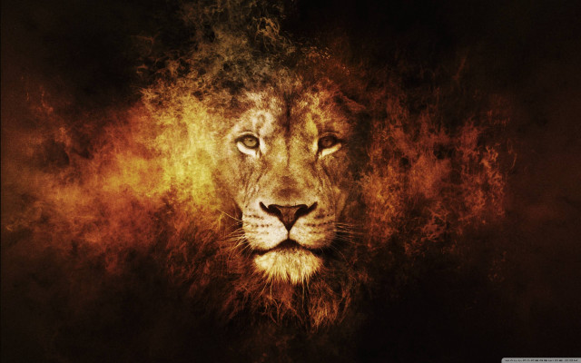 Lion dark background yellow light free wallpaper for desktop - medium preview image
