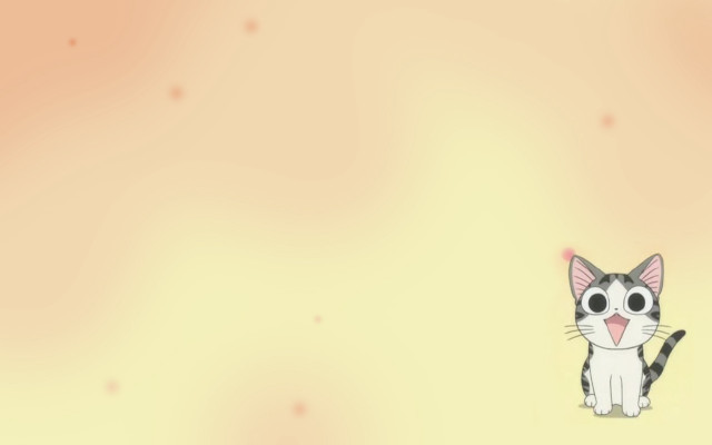 Surprised cat yellow background stars free wallpaper for desktop - medium preview image