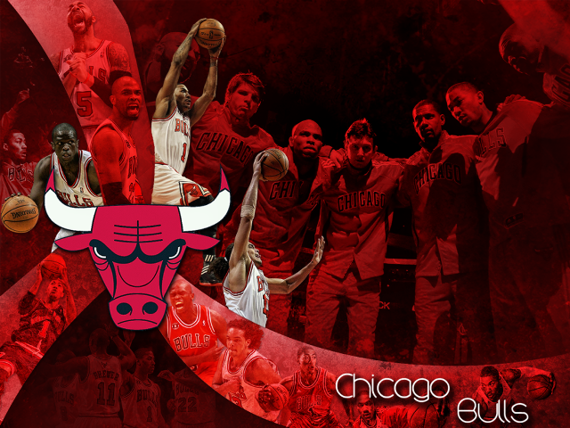 Men bulls basketball team logo free wallpaper for desktop - medium preview image