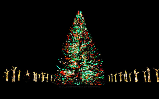 Christmas tree lit man standing free wallpaper for desktop - medium preview image