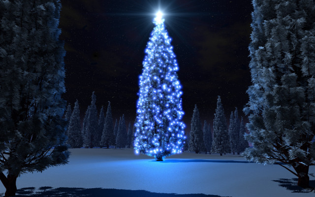 Large christmas tree lit snow #3 free wallpaper for desktop - medium preview image