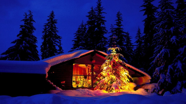 Christmas tree cabin snow night #2 free wallpaper for desktop - medium preview image