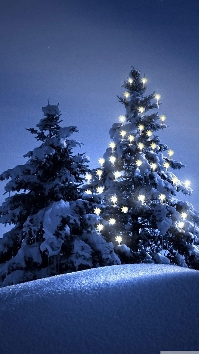 Snowy landscape christmas tree full free wallpaper for mobile - medium preview image