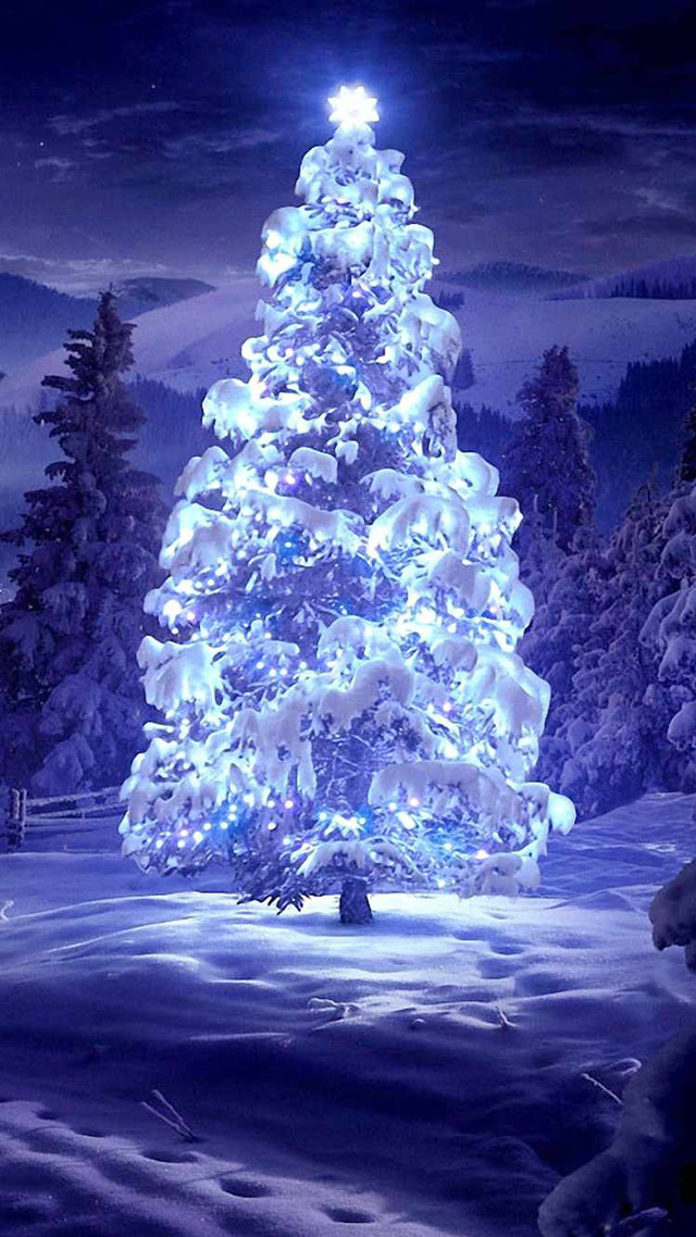Lit christmas tree snowy landscape free wallpaper for mobile - medium preview image