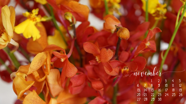 Calendar flowers november date center free wallpaper for desktop - medium preview image