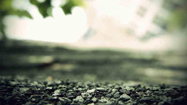 Rock surface tree background blurry free wallpaper for desktop - medium preview image