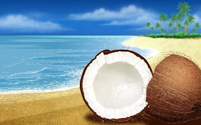 Coconut shell beach palm ocean free wallpaper for desktop - medium preview image