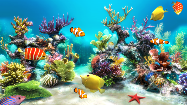 Colorful underwater scene fish corals free wallpaper for desktop - medium preview image