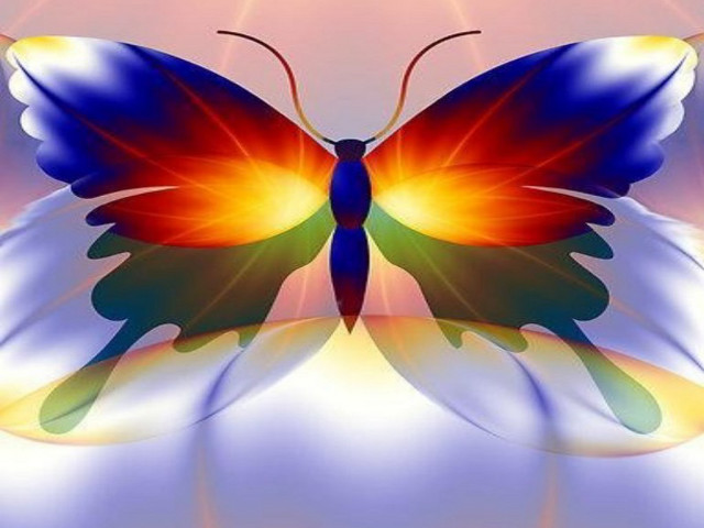 Colorful butterfly blue yellow red free wallpaper for desktop - medium preview image