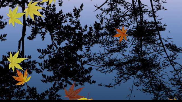 Leaves floating water trees branches #3 free wallpaper for desktop - medium preview image