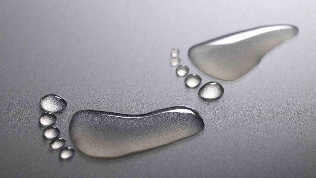 Metal surface water drops dog free wallpaper for desktop - medium preview image