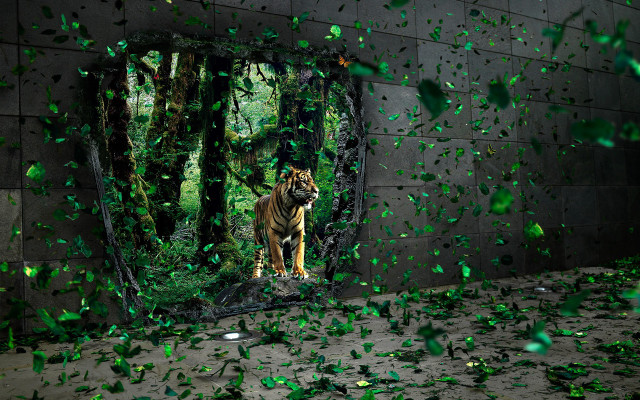Tiger mirror green leaves confetti #4 free wallpaper for desktop - medium preview image